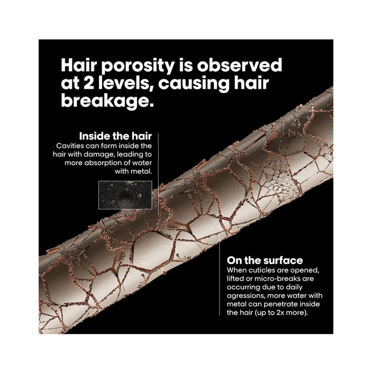 Loreal Professionnel Metal Detox Pre-Treatment Shampoo 250ml - Image 4